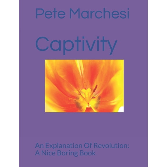 Captivity : An Explanation Of Revolution: A Nice Boring Book (Paperback)
