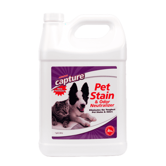 Capture Pet Stain and Odor Neutralizer, Liquid Carpet Cleaner, Fresh Scent, 1 Gallon Bottle