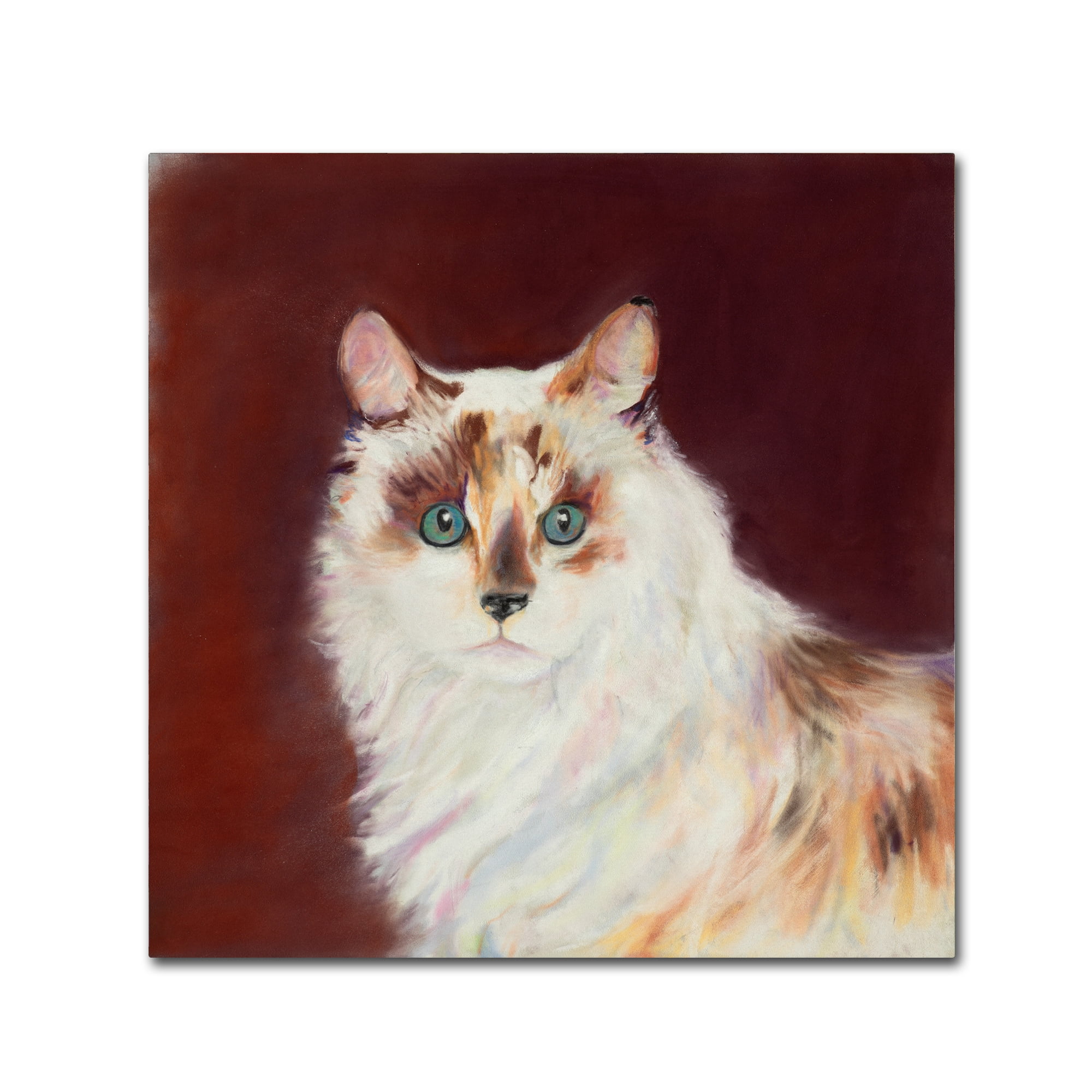 Capturing Eyes' Canvas Art by Pat Saunders-White