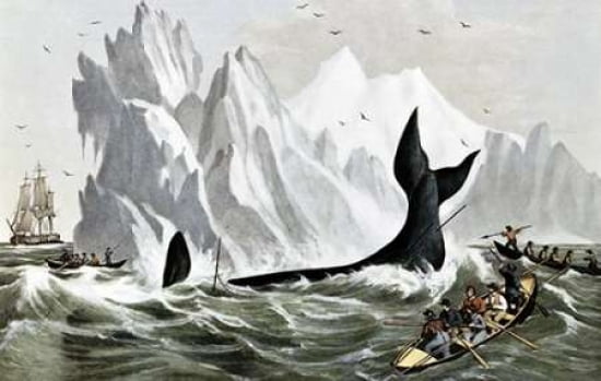 Capturing The Whale Canvas Art - Currier and Ives (24 x 36)