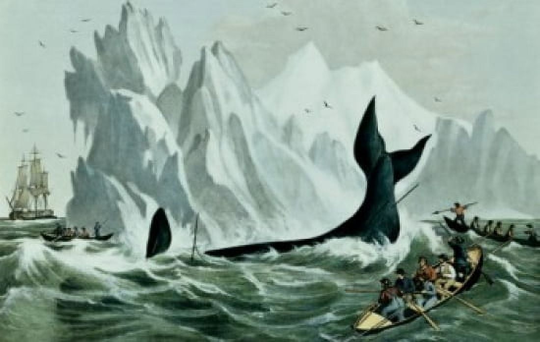 Capturing the Whale Currier and Ives (Active1857-1907 American) Canvas Art - Currier and Ives (18 x 24)