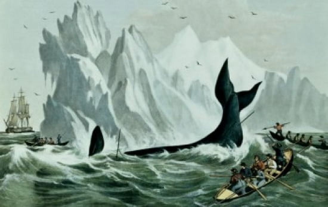Capturing the Whale Currier and Ives (Active1857-1907 American) Canvas Art - Currier and Ives (24 x 36)