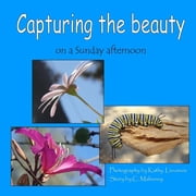 Capturing the beauty on a Sunday afternoon, Paperback