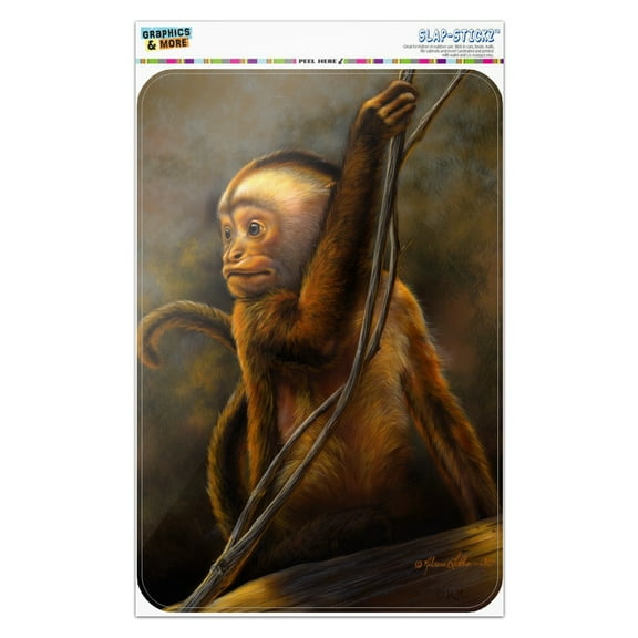 Capuchin Monkey Organ Grinder Home Business Office Sign