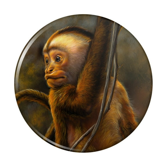 Capuchin Monkey Organ Grinder Kitchen Refrigerator Locker Button Magnet