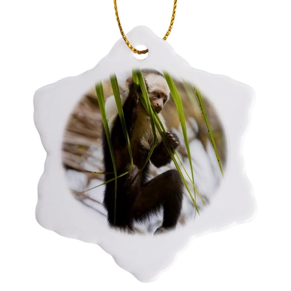 3drose, Capuchin Monkey, Osa Peninsula, Costa Rica - Sa22 Jgs0010 - Jim Goldstein, 3 inch Snowflake Porcelain Ornament