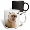 thumbnail image 1 of 3drose, Capuchin Monkey, Osa Peninsula, Costa Rica - Sa22 Jgs0011 - Jim Goldstein, 11oz Magic Transforming Mug, 1 of 7