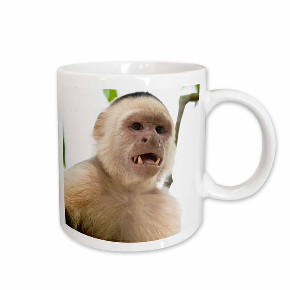 3drose, Capuchin Monkey, Osa Peninsula, Costa Rica - Sa22 Jgs0011 - Jim Goldstein, 11oz Mug