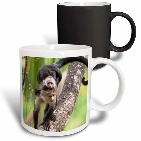 3drose, Capuchin Monkeys, Corcovado Np, Costa Rica - Sa22 Jgs0009 - Jim Goldstein, 11oz Magic Transforming Mug