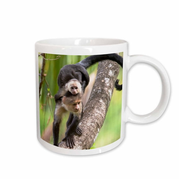 3drose, Capuchin Monkeys, Corcovado Np, Costa Rica - Sa22 Jgs0009 - Jim Goldstein, 11oz Mug