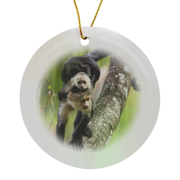 3drose, Capuchin Monkeys, Corcovado Np, Costa Rica - Sa22 Jgs0009 - Jim Goldstein, Circle Porcelain Ornament