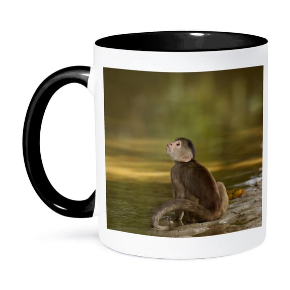 3dRose, Capuchin monkey, Puerto Misahualli, Ecuador - SA07 POX1090 - Pete Oxford, 15oz Two-Tone Black Mug