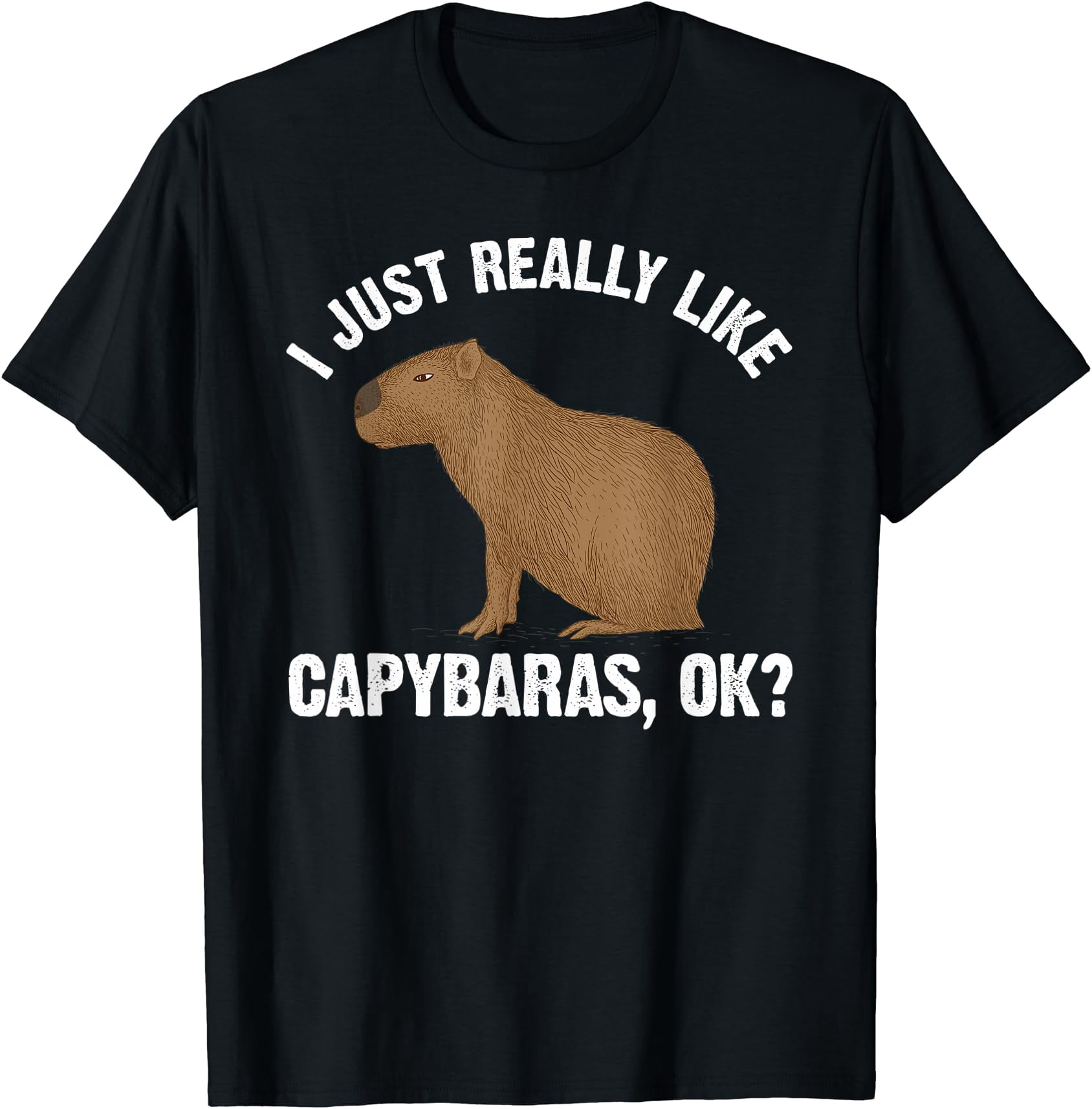 Capybara Art For Rodent Capybara Lover T-Shirt - Walmart.com