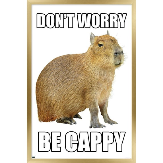 Capybara - Be Cappy Wall Poster, 14.725" x 22.375" Framed