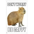 thumbnail image 1 of Capybara - Be Cappy Wall Poster, 22.375" x 34" Framed, 1 of 5