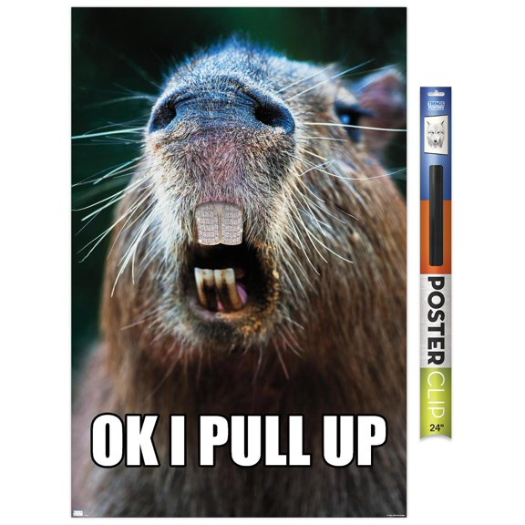 Capybara - Pull Up Wall Poster, 22.375" x 34"