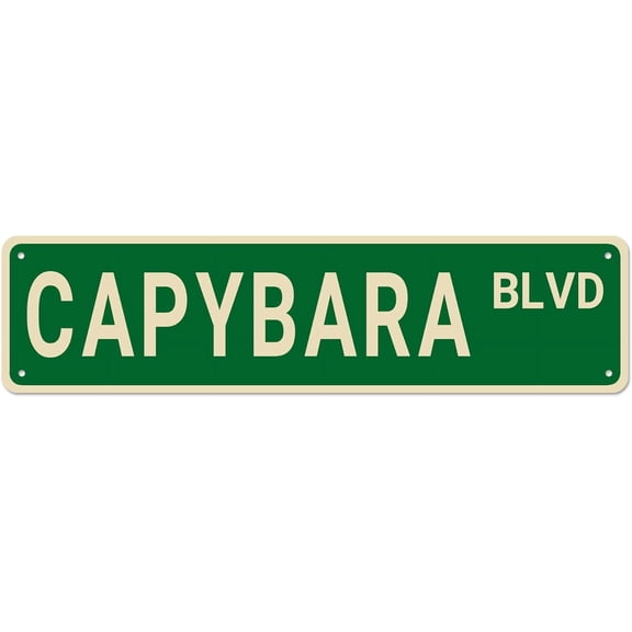 Capybara Blvd Street Sign, Sign Decor Lover Gift, Funny Animal Wall for HomeBedroomMan Cave, Quality Metal Signs 16x6 Inch, Thiy002.jpg