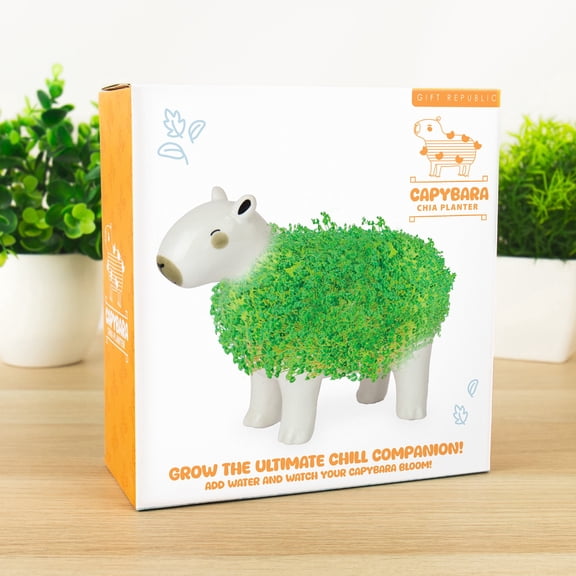Gift Republic Capybara Chia Planter Grow Kit Terracotta Capybara Planter with Chia Seeds, DIY Indoor Growing Kit, Fun Gift for Plant & Animal Lovers