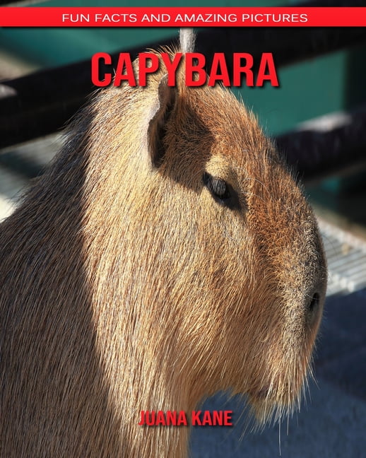 Capybara Facts
