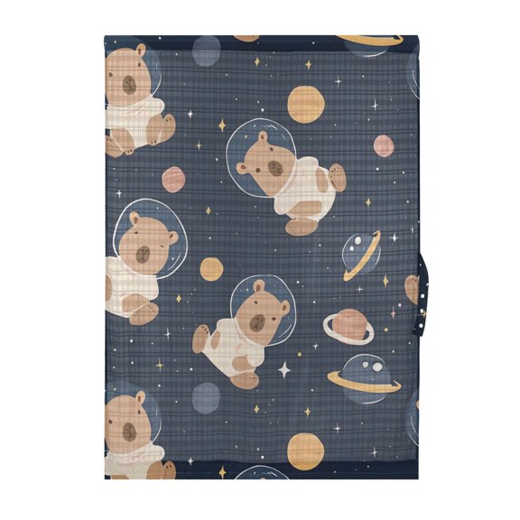 Capybara Planet Star Pattern Door Curtain Sheer Privacy Light Filtering Window Panel 1 Panel 25x40 Inch