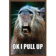 thumbnail image 1 of Capybara - Pull Up Wall Poster, 14.725" x 22.375" Framed, 1 of 5