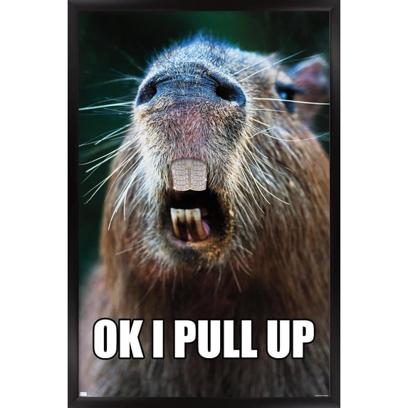 Capybara - Pull Up Wall Poster, 22.375" x 34" Framed