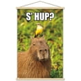 thumbnail image 1 of Capybara - S' Hup Wall Poster with Magnetic Frame, 22.375" x 34", 1 of 5
