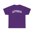 thumbnail image 1 of Capybara Shirt Gifts Tshirt Crew Neck Short Sleeve, 1 of 7