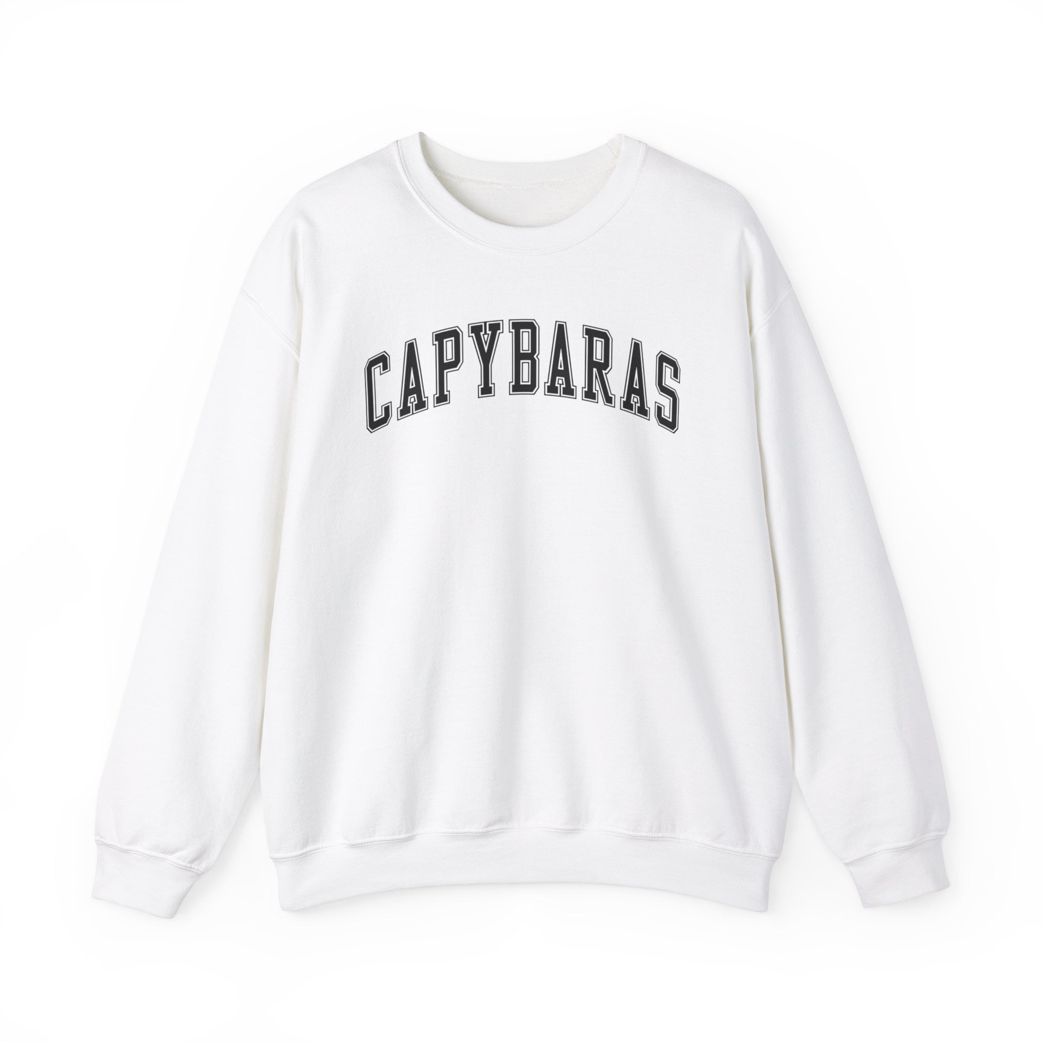 Capybara Sweatshirt Gifts Crew Neck Shirt Long Sleeve Unisex - Walmart.com