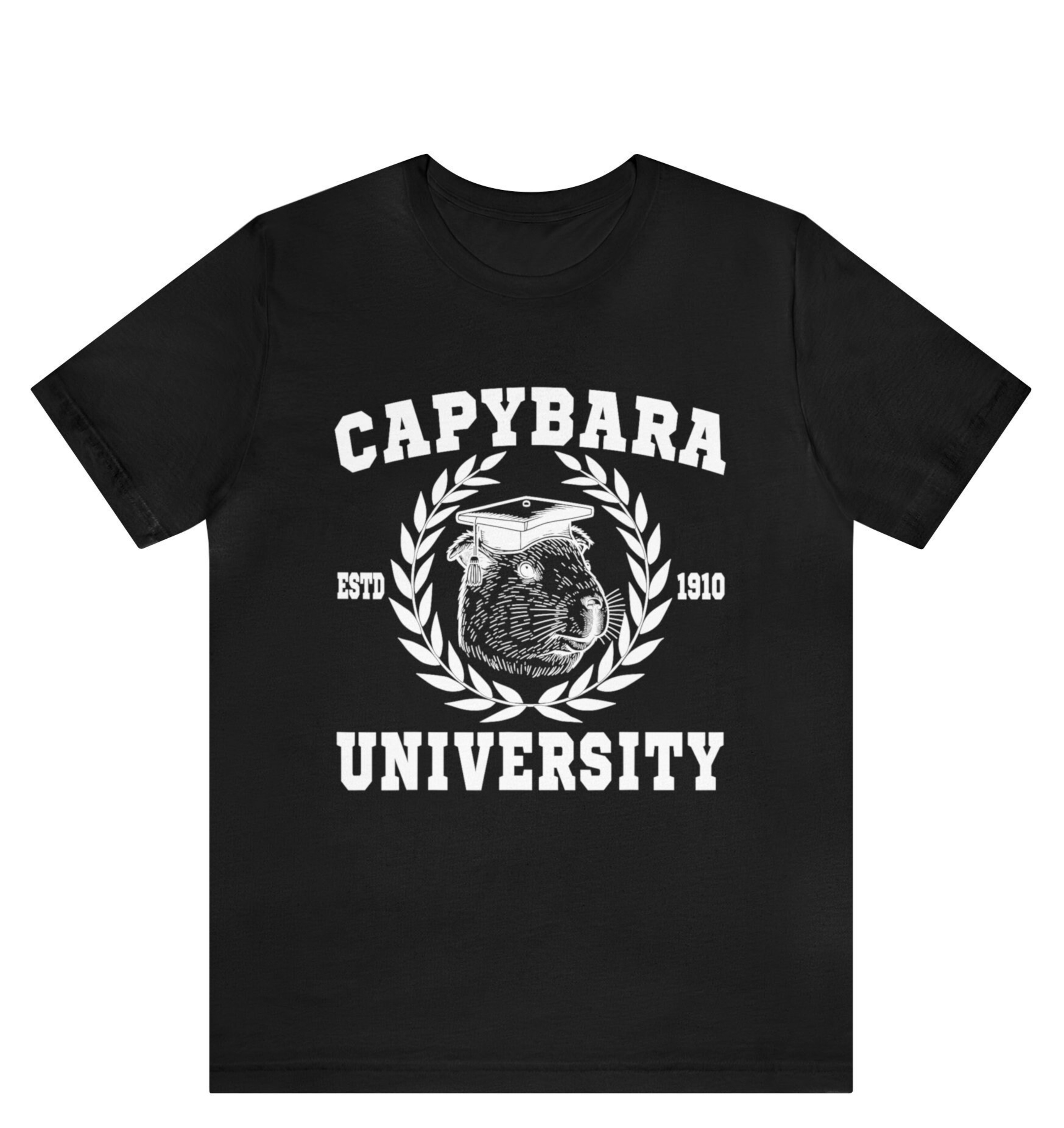 Capybara University shirt , Funny Capybara Meme ,Capybara Sarcastic