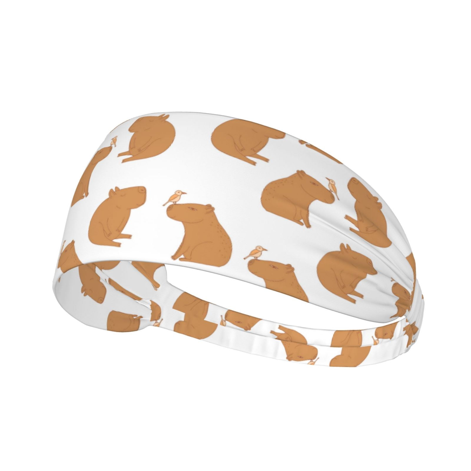 Capybaras Birds Headbands for Women Men, Workout Elastic Sweat Band for ...