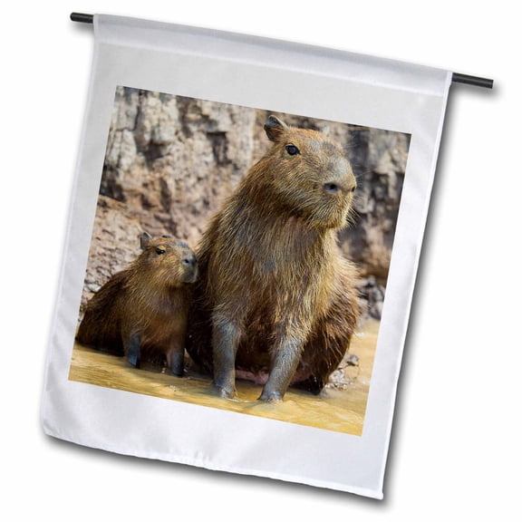 3dRose, Capybaras are rodents found in the Pantanal, Brazil. With young., 12 x 18 inch Garden Flag