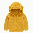 thumbnail image 1 of Caqnni Little Kids Hoodie Sweatshirt for Boys Little Girls Hooded Kangaroo Pocket Pullover Hoodies Jacket Coats Long Sleeve Coat for 12-18 Months, 1 of 7