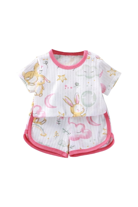 Toddler Baby Girl Summer Clothes Flower Embroidery Sleeveless Smocked Tops and Shorts Set Cute Two Piece Outfit Short T-shirt Sets Gray 3-4 Years