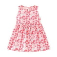 thumbnail image 1 of Caqnni Toddler Little Girls Floral Print Sleeveless Dress Set Summer Beach Dress (4-5 Years,Pink), 1 of 4