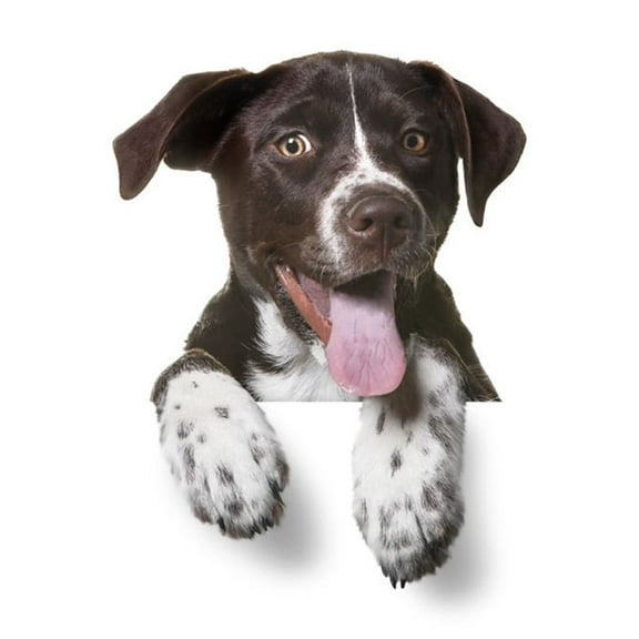 Car 3D Puppy Sticker Cute Pet Decoration Stickers Creative Fun Gifts Glass Window Car Decals for Kayaks Campers Refrigerator Walls Trucks Brown Type 3