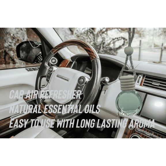 Car Air Freshener Hanging Fragrance Diffuser, Cute Accessory, Odor Eliminator, 2 Pack