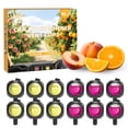 thumbnail image 1 of Car Air Freshener Vent Clips Citrus and Peach Scent, 1 of 6