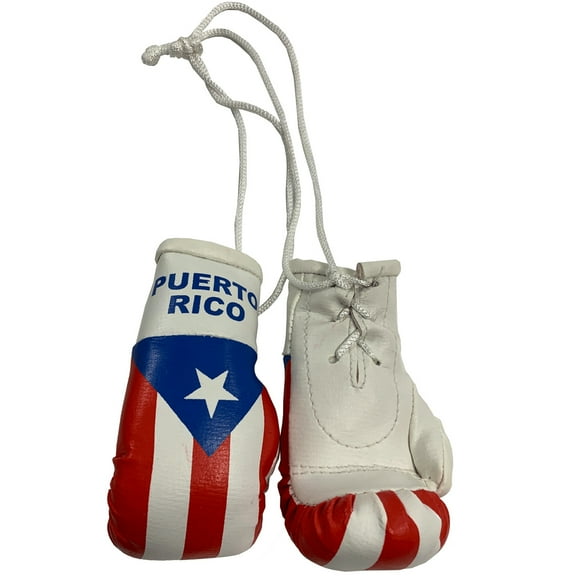 Car Boxing Gloves White Puerto RICO Flag