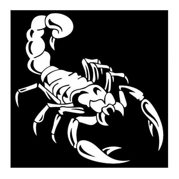 Car Decoration 3D Decal Sticker Vinyl Sticker, White 40cm