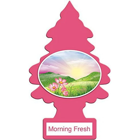 Car Freshener Little Trees 72 pack Case Assorted Scents (Morning Fresh)