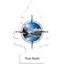 Car Freshner C15-U1P17146 Little Trees Air Fresheners, True North