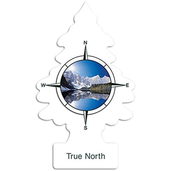 Car Freshner C15-U1P17146 Little Trees Air Fresheners, True North