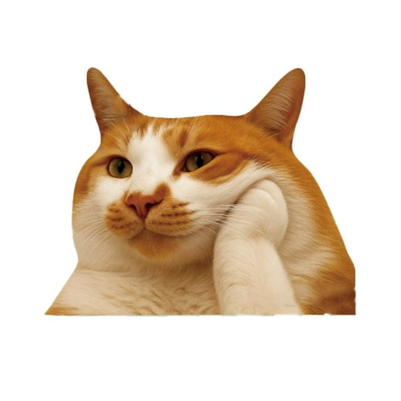 Car Funny Cat Meme Sticker, The Cat Meme Sticker Decal Waterproof, Cute Kitten Decals for Cars, Laptop, Wall, Rear Window, Bumper, Humorous Automotive Decoration for Trucks -3.90"