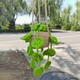 Car Hangings Hand Crocheted Potted Wool Pendants Car Rearview Creative