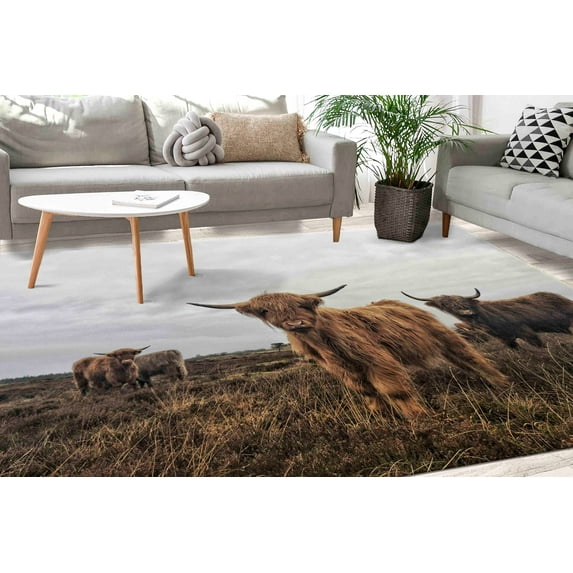 Car Mat Rug, Anti-Slip Carpet Rugs, Gift Rugs, Animal Rug, Wild Cow Rugs, Scottish Highland Cattle Rugs, Highland Cow Rug, Modern Rug, 3.3'x6.5' - 100x200 cm