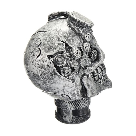 Car Skull Head Manual Transmission Gear Shift Knob with Hoses Mount Accessories