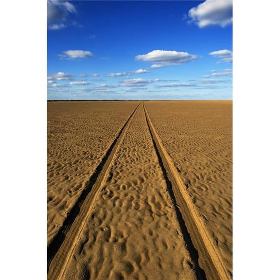 Car Tracks On A Deserted Sandy Beach Poster Print 12 x 19