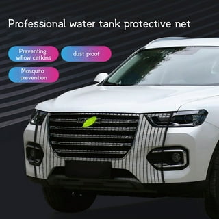 Sand Protector Car