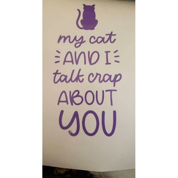 Car Window Decal Funny My Cat And I Talk Crap About You!! You Chooce Any Color